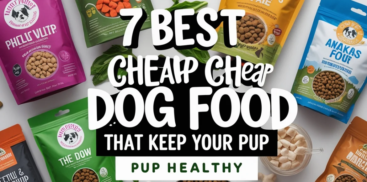 best cheap dog food
